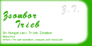 zsombor trieb business card